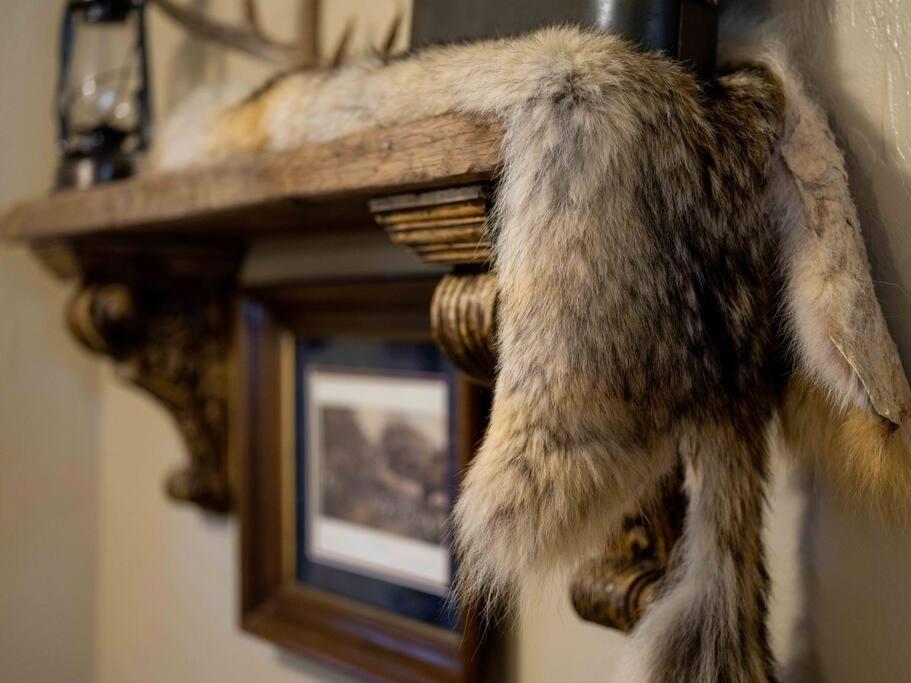 Stonegate Lodge Bear'S Den Kitchen, Pool, Firepit, Wifi ,Smart Tvs Юрика Спрингс Экстерьер фото